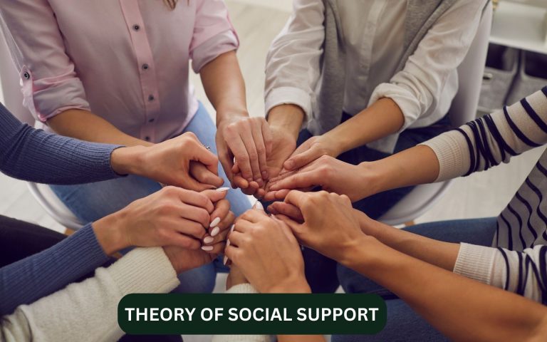 theory of social support